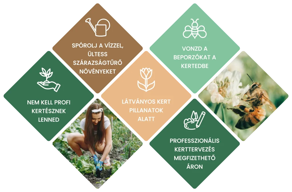 Gardenbox | Kerttervezés és kertészeti tanácsadás